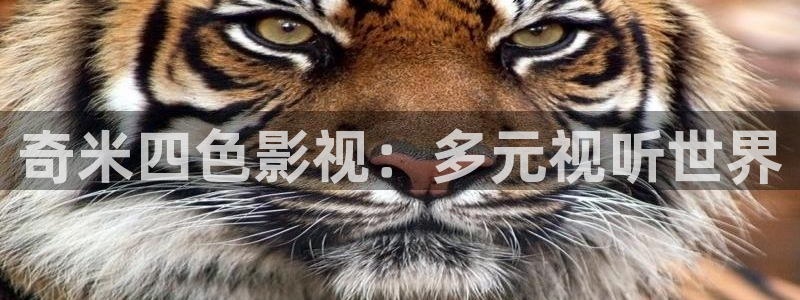 奇米在线国产：奇米四色影视：多元视听世界