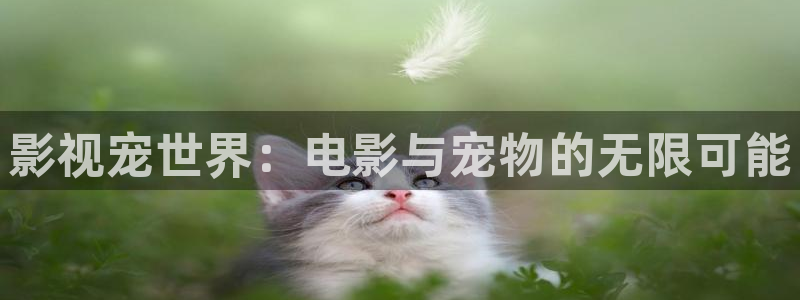 奇米在线视频免费观看